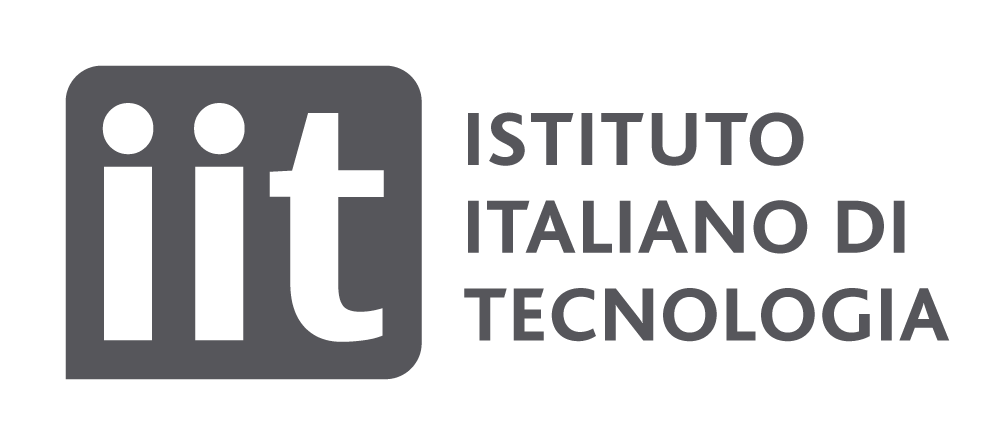 IIT v4 logo t2